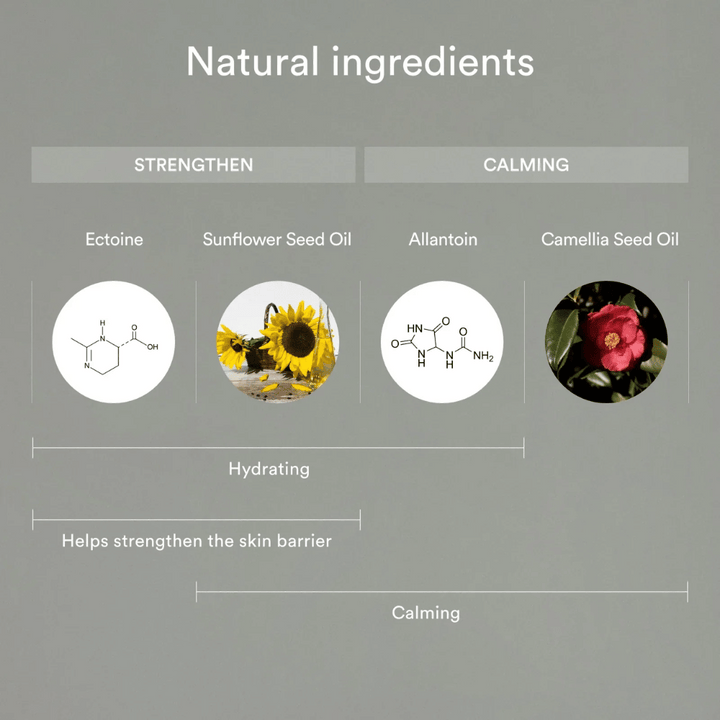 Slika prikazuje naravne sestavine, ki krepijo in pomirjajo kožo: Ectoin in sončnično olje pomagata navlažiti in okrepiti kožno pregrado, medtem ko alantoin in olje kamelije pomirjata in ščitita občutljivo kožo.