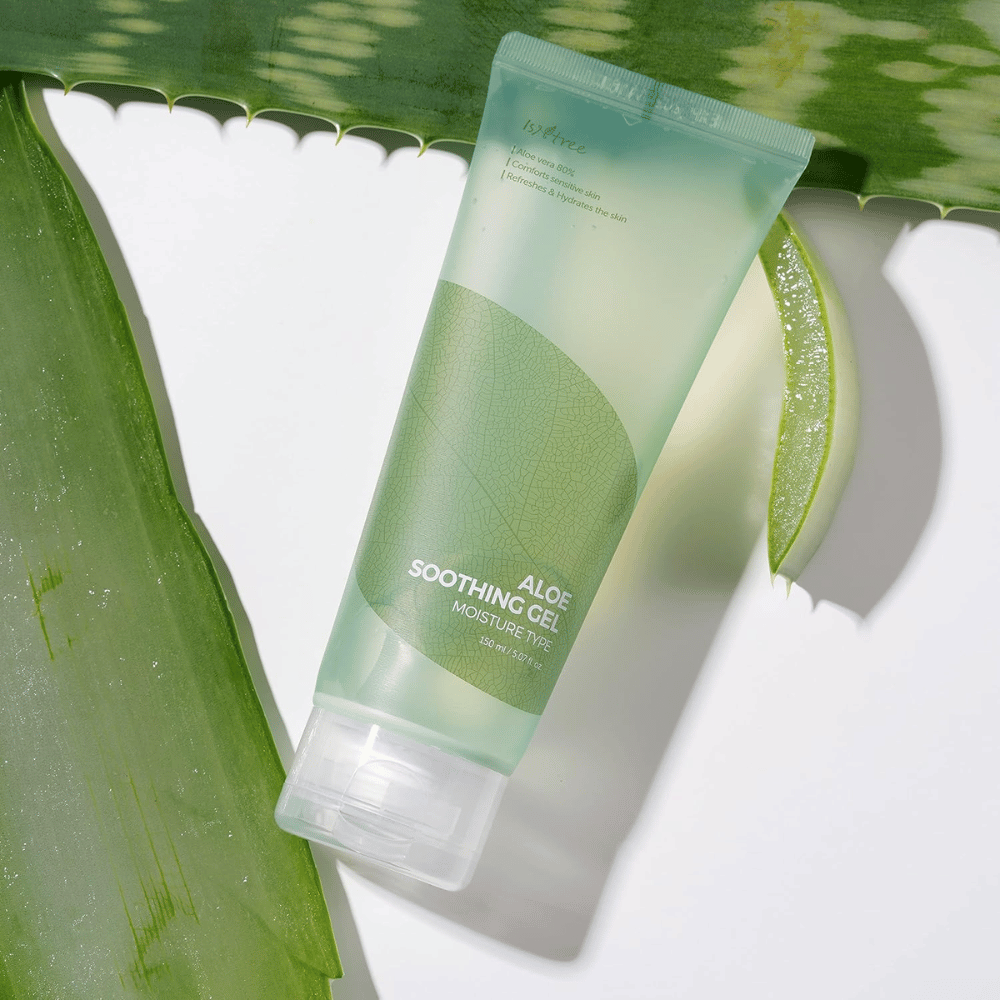 Isntree Aloe Soothing Gel Moisture Type – vlažilni gel z 80 % aloe vere, fotografiran s svežimi listi aloje