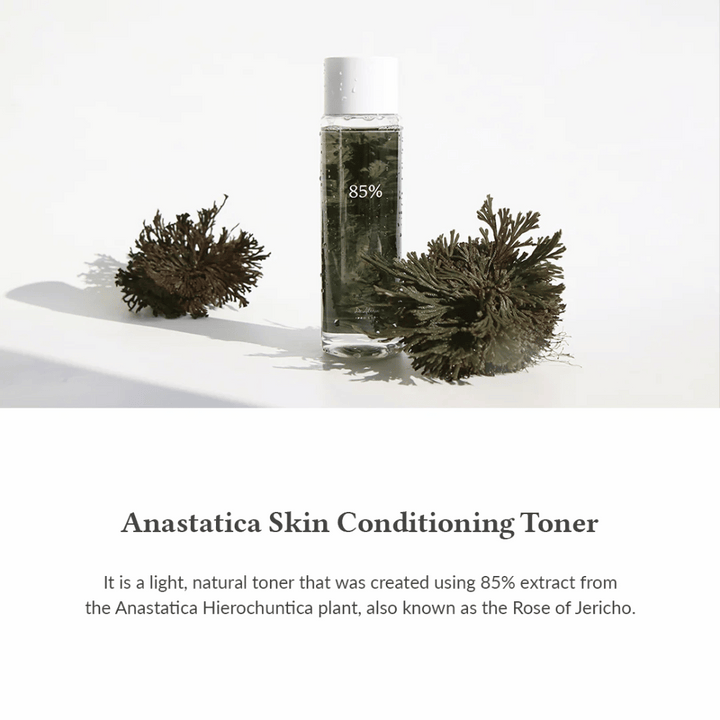 Anastatica Skin Conditioning Toner je lahek in naraven tonik za obraz z 85 % izvlečkom iz Anastatica Hierochuntica – znane tudi kot Jerihonska vrtnica. Učinkovito vlaži, pomirja in uravnava kožo.