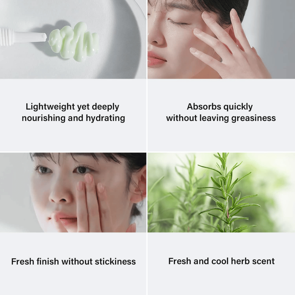 Štiri slike, ki prikazujejo prednosti izdelka za nego kože. Zgoraj levo se vidi zelena krema na čopiču, z besedilom "Lahka, a globoko hranilna in vlažilna." Zgoraj desno, ženska, ki nanaša izdelek, z besedilom "Hitro se vpije brez mastnega občutka." Spodaj levo, ženska, ki masira izdelek, z besedilom "Svež zaključek brez lepljivosti." Spodaj desno je slika rožmarina z besedilom "Svež in hladen zeliščni vonj."