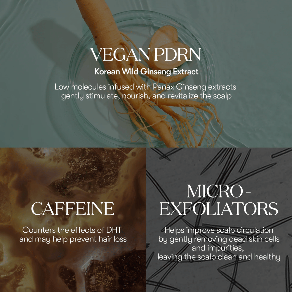 Ilustracija aktivnih sestavin v PDRN Reedle Shot Hair Ampoule 100dL z veganskim PDRN iz korejskega divjega ginsenga, kofeina in mikro-eksfoliatorjev, ki negujejo in revitalizirajo lasišče.