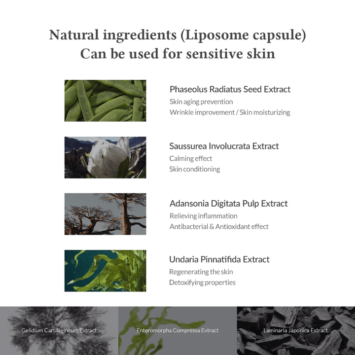 Dr. Althea Premium Quick Step Sebum Cleanser z rastlinskimi sestavinami, kot sta Phaseolus Radiatus in Centella podobni izvlečki, ki pomagajo pomiriti kožo, zmanjšati vnetje in navlažiti.