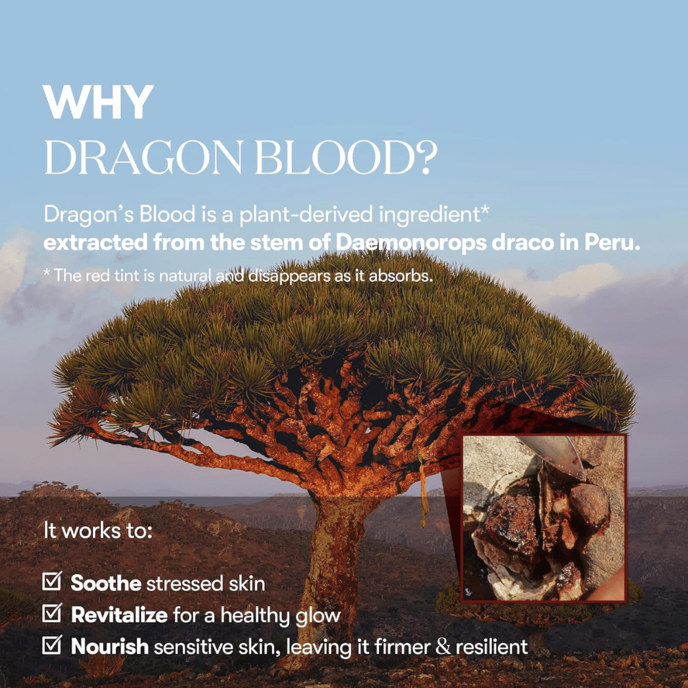 Ilustracija drevesa Dragon's Blood (Daemonorops draco) v Peruju, sestavina v VT Red Booster Reedle Shot 100, ki pomirja stresirano kožo, krepi kožno bariero in daje svež sijaj.
