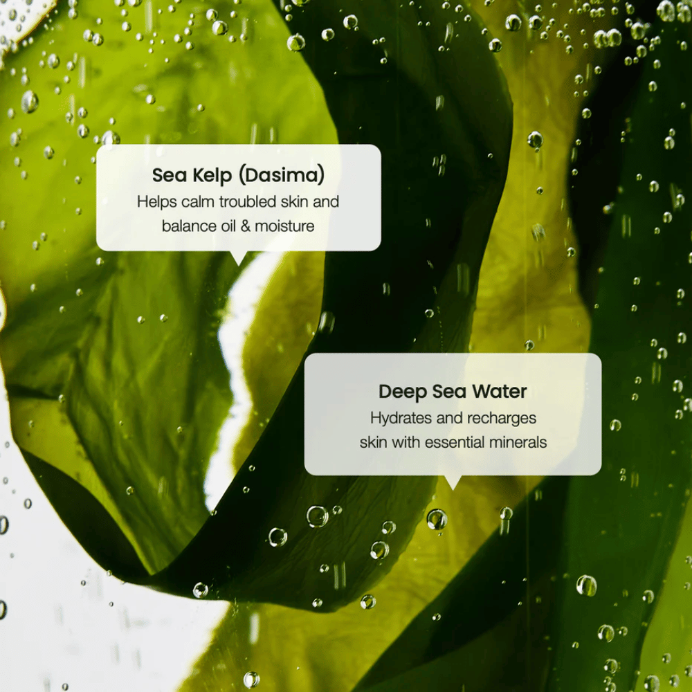 Izvleček morske alge in globokomorska voda v Biodance Refreshing Sea Kelp Serum – vlaži in uravnava kožo.