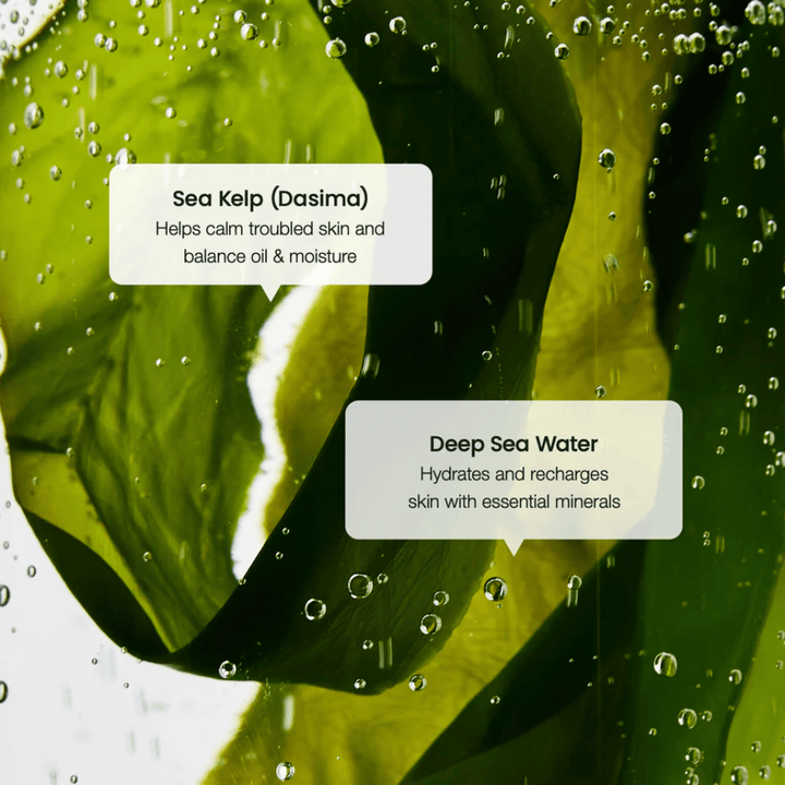 Izvleček morske alge in globokomorska voda v Biodance Refreshing Sea Kelp Serum – vlaži in uravnava kožo.