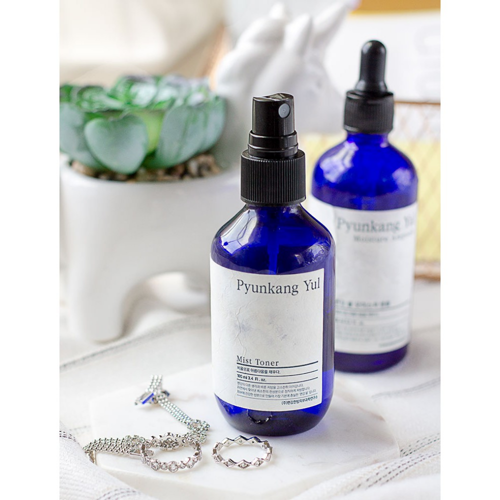 Steklenica Pyunkang Yul Mist Toner, alergijam prijazen tonik, na mizi poleg kaktusa.